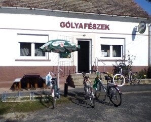 Gólyafészek